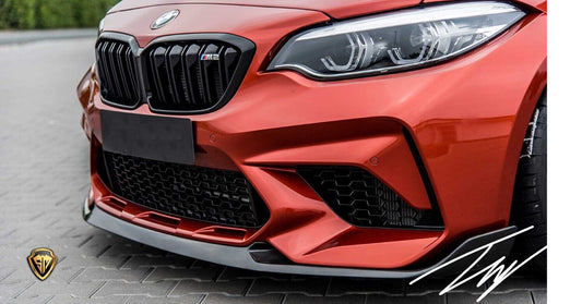 BMW M2 F87 Front Splitter TP