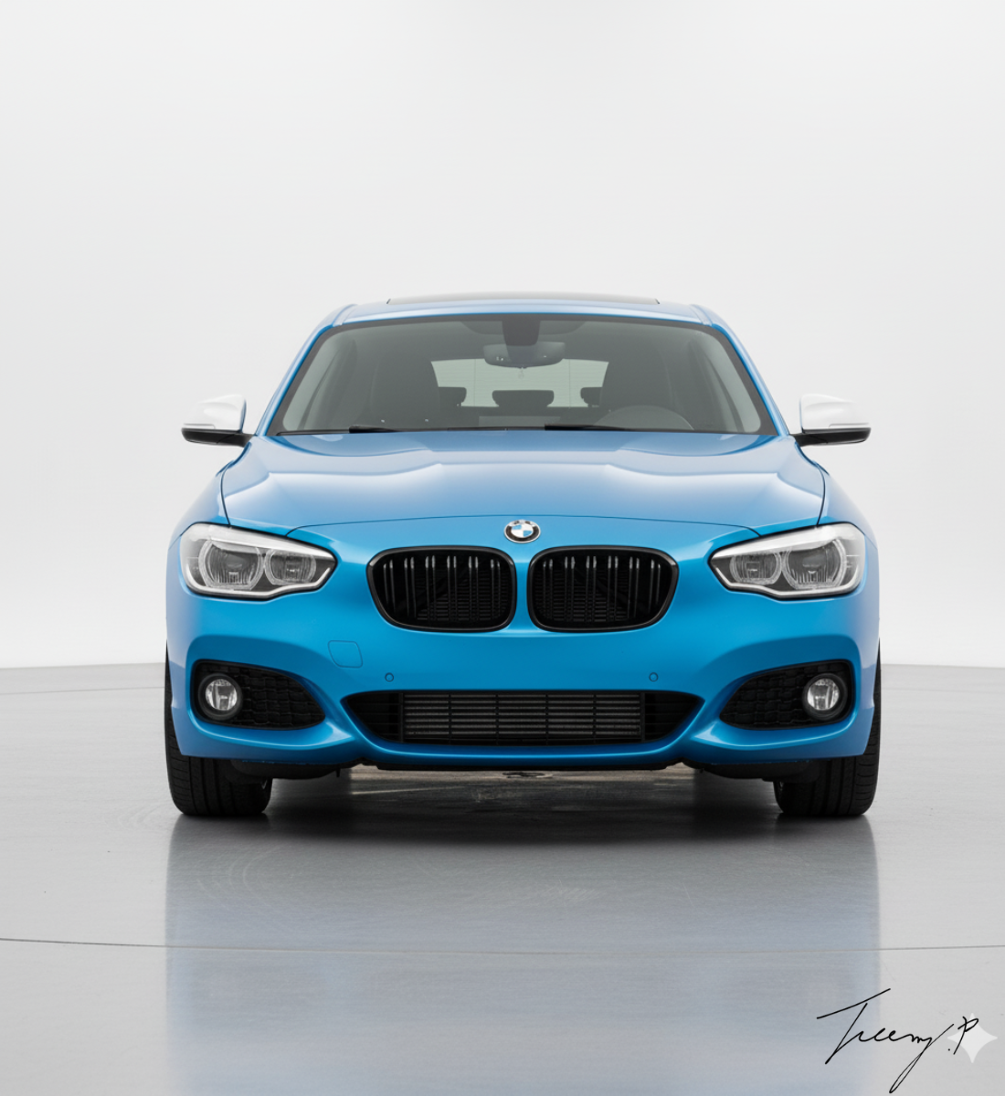 BMW 1 Series F20 2011-2014 FRONT KIDNEY GRILLES GLOSS BLACK
