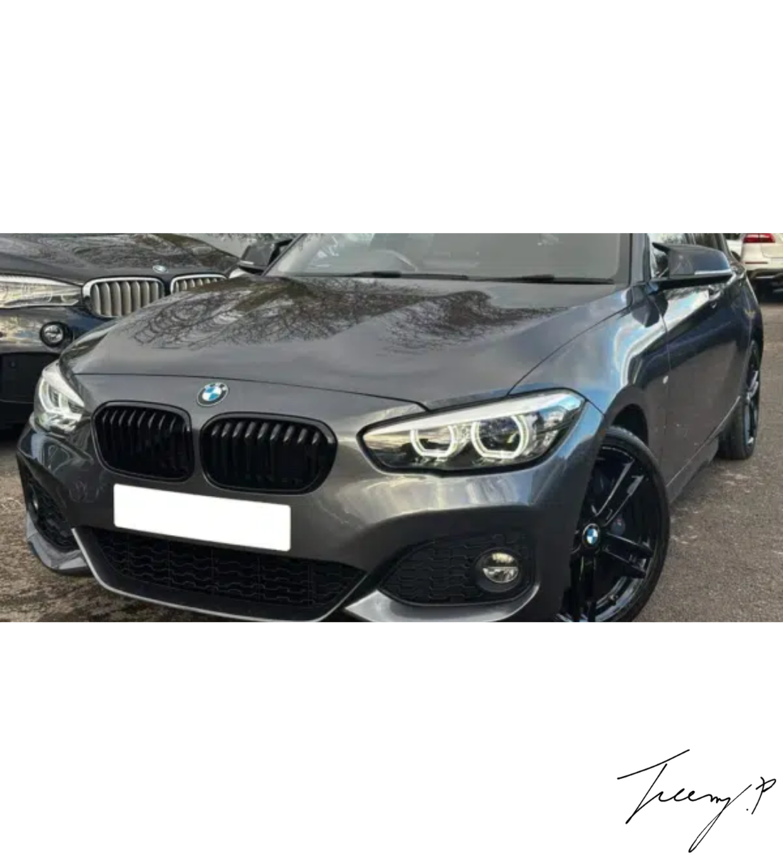 BMW 1 Series F20 (2015-2019) Front Kidney Grilles Double Slat Gloss Black