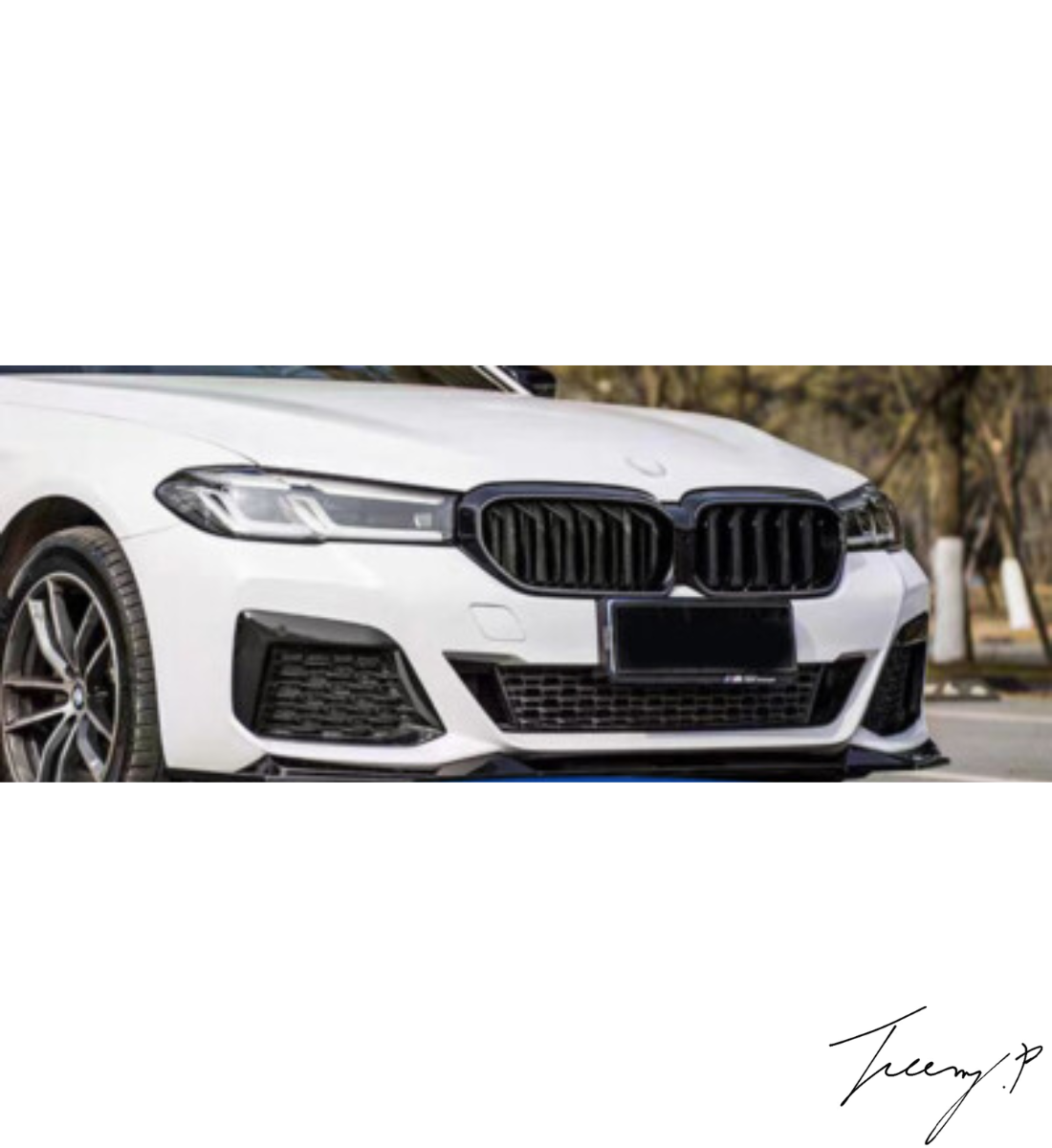 BMW 6 Series G32 GT LCI (2020+) Front Kidney Grilles Double Slat Gloss Black OEM