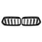 BMW X2 F39 (2018-2023) Gloss Black M Performance Front Radiator Kidney Grilles