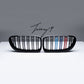 BMW 6 Series F12 F13 F06 M6 gloss black M color front kidney grille sporty performance styling

