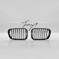 BMW 3 Series E46 pre facelift coupe cabrio M3 front kidney grille grill
