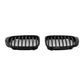 BMW 3 Series E46 Pre Facelift (1999-2003) Coupe Cabrio M3 Front Kidney Grille Grill