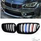 BMW 6 Series F12 F13 F06 M6 (2012-2018) Gloss Black M Color Front Kidney Grille