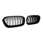 BMW 1 Series F20 (2015-2019) Front Kidney Grilles Double Slat Gloss Black